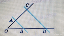 05019plf-c4ad-266x150.png
