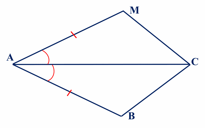 05019pne-206a-800x499.png