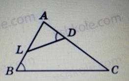 05019pwt-0033-400x252.png