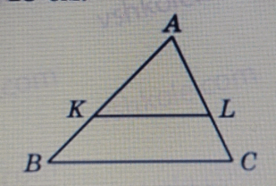 05019qhk-b164-309x208.png