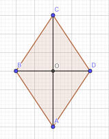 05019r7c-8eb3-159x202.jpg