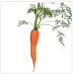 05019r9d-8811-105x107.png