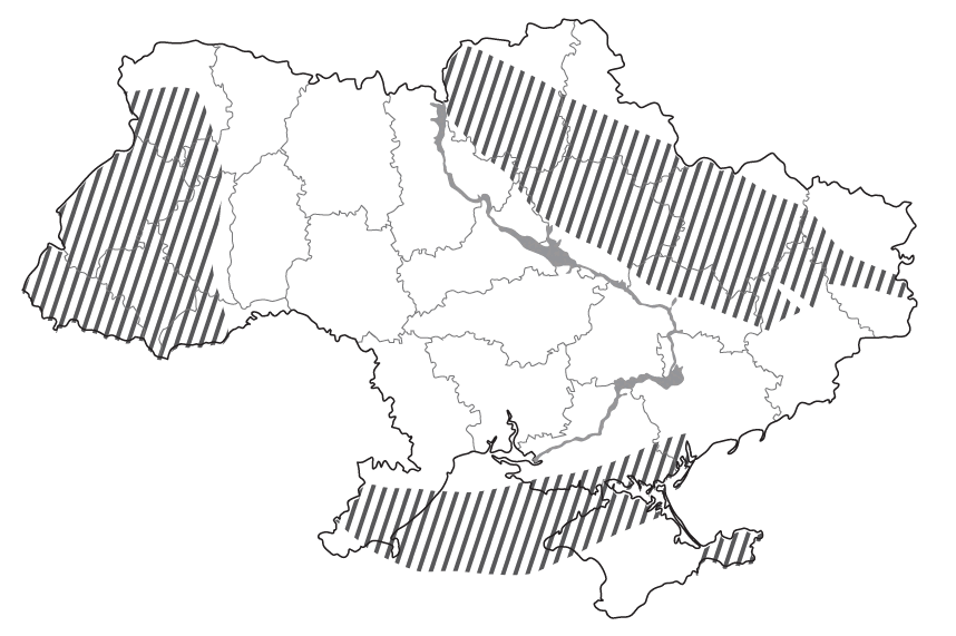 05019vkr-3a8b-858x571.png