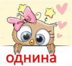 05019x08-58e6-142x131.png