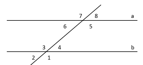 05019xqq-d458-503x229.png