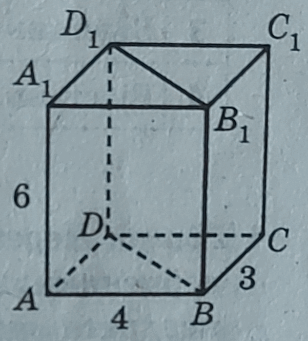 05019zgy-c351-631x700.png