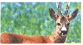 0501a15d-8e52-164x90.png