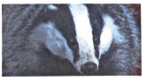 0501a15r-474e-165x92.png
