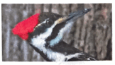 0501a16a-cc43-162x92.png
