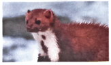 0501a18i-6d41-163x96.png