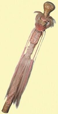 0501a1vk-248c-200x389.jpg