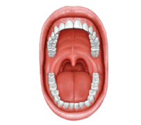 0501a2h1-c21f-203x181.png