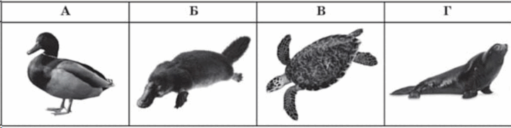 0501a4l9-644f-721x181.png