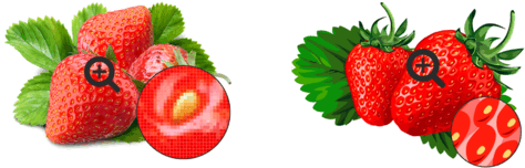 0501a5bn-d808-474x152.png