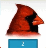 0501a5mr-c012-167x171.png