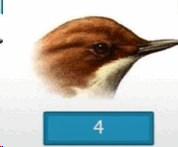 0501a5nb-0490-185x153.png