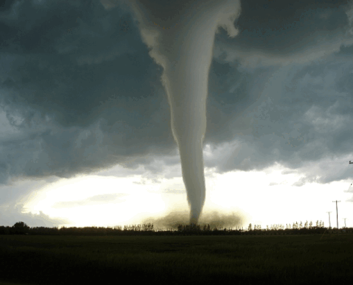 0501a74d-efaf-509x411.png