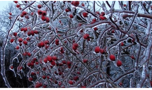 0501a75n-c349-521x310.png