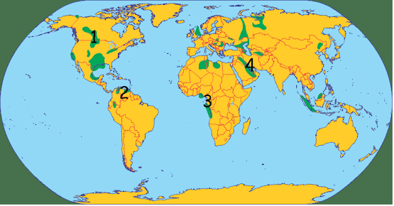 0501a81m-1df4-555x290.png