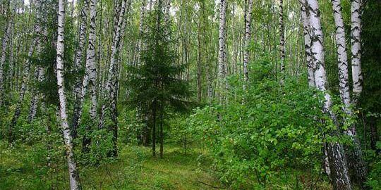 0501a8b6-bfae-540x270.jpg