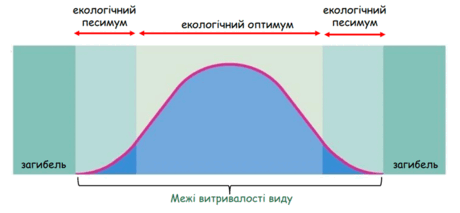 0501a8qp-ec2d-460x213.png