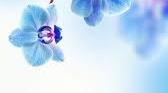 Діагностична робота 5 клас. Природа і людина.