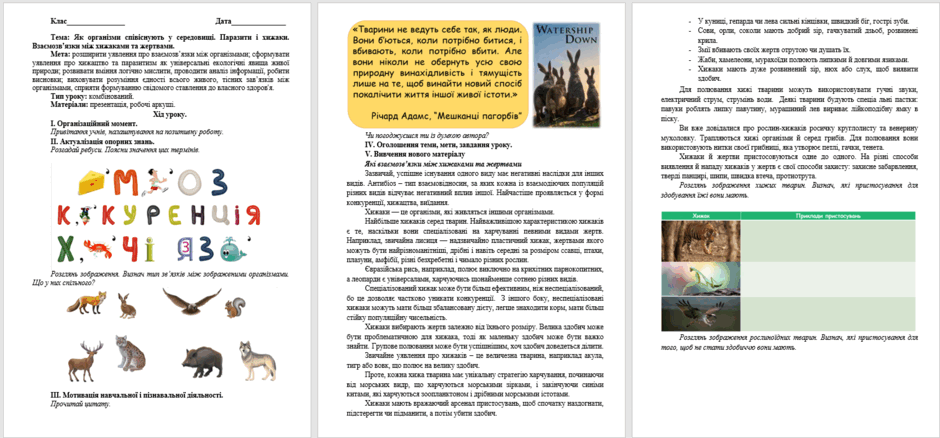 0501aasp-593d-940x438.png