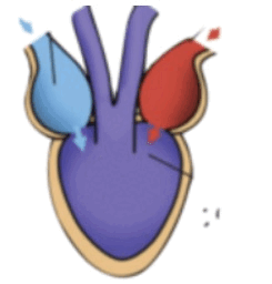 0501aatd-fea0-245x256.png