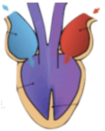 0501aatx-8b08-205x255.png