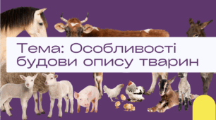 Презентація на тему : "Особливості будови опису тварин"