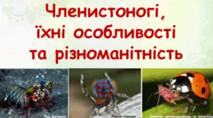 Членистоногі, їхня різноманітність