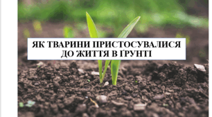Презентація на тему "Як тварини пристосувалися до життя в ґрунті" 6 кл НУШ