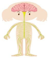 0501afti-939d-190x225.png