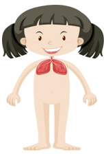 0501afu2-47c9-158x227.png