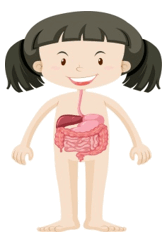 0501afu9-027c-165x236.png