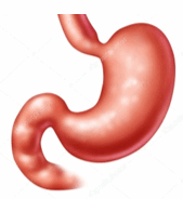 0501agw6-63a8-169x184.png