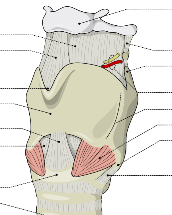 0501ah0s-c6b2-604x754.png