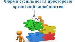 Форми суспільної організації виробництва
