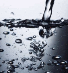 0501al07-d79a-221x237.png