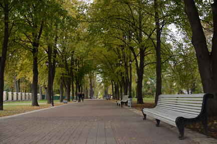 0501ap0b-31eb-433x287.jpg
