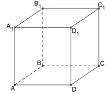 pic1