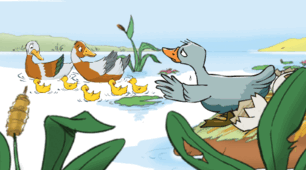 Sally's Story: The grey duck. "Fly High Ukraine 2"