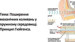 Поширення механічних коливань у пружному середовищі. Принцип Гюйгенса.