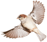 0501aup3-6761-165x146.png