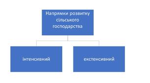 Економічний розвиток. Напрямки розвитку сільського господарства