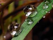 0501axbg-85d9-189x142.jpg