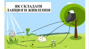 Презентація на тему "Як складати ланцюги живлення" 6 кл НУШ