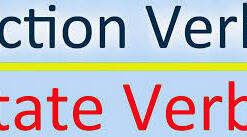  Present Simple/ Present Continuous. State and Activity verbs.