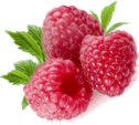 0501b9ws-f107-126x113.png