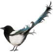 0501bacn-a976-109x106.png